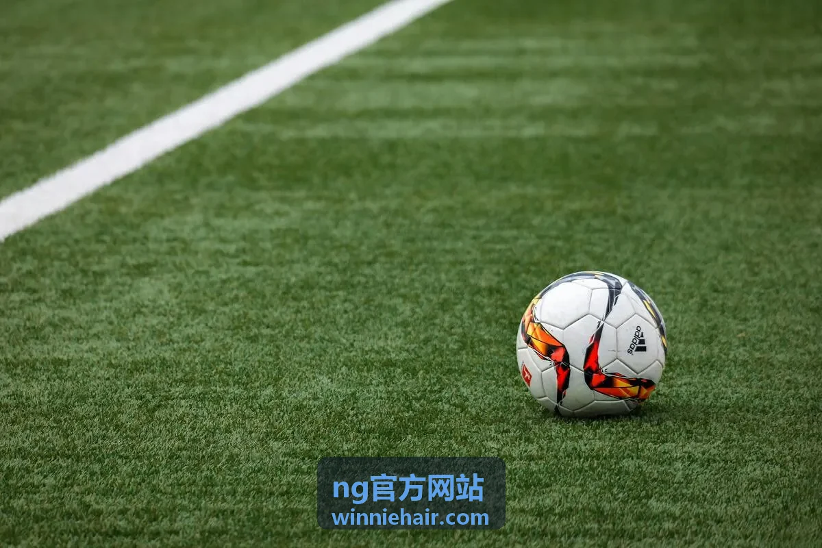 NG官方网站头顶发量增密定制方案