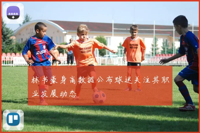 林书豪身高数据公布球迷关注其职业发展动态